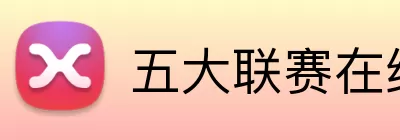 五大联赛在线平台 logo